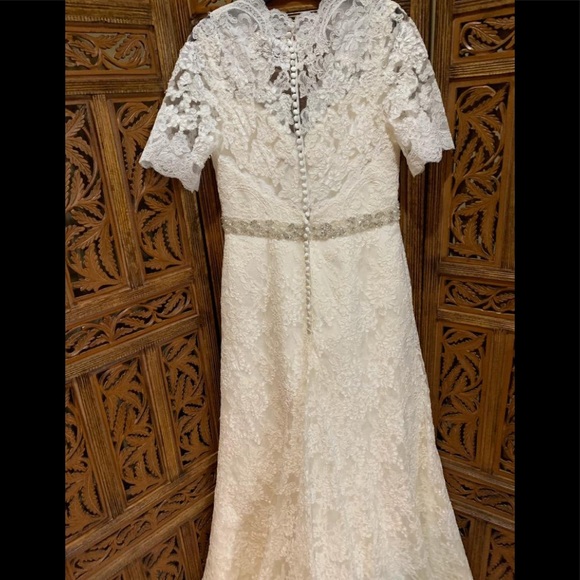 Venus bridals 🦋🦋🦋🦋🦋 - Picture 5 of 7